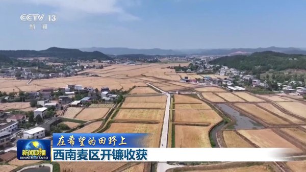 网上配资平台 【在希望的田野上】西南麦区开镰收获_大皖新闻 | 安徽网