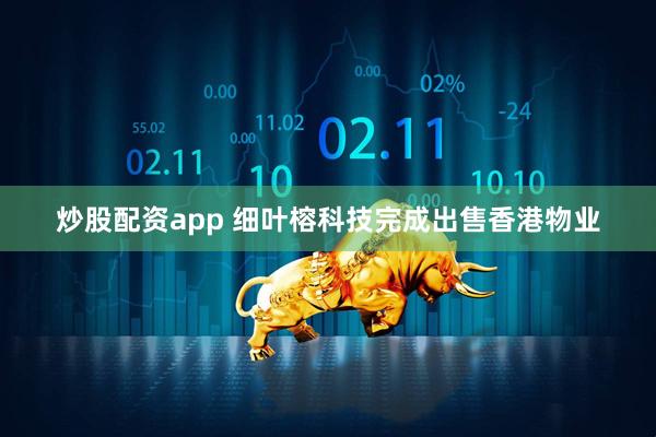 炒股配资app 细叶榕科技完成出售香港物业