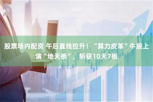 股票场内配资 午后直线拉升！“算力皮革”牛股上演“地天板”，斩获10天7板